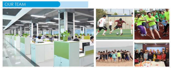 Excelente material de bambú tres tazas de comida para perros 4